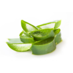 Aloe Barbadensis (Aloe Vera) Extract