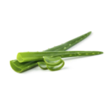 Aloe Barbadensis Leaf Extract