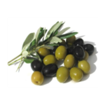 Olive Extract