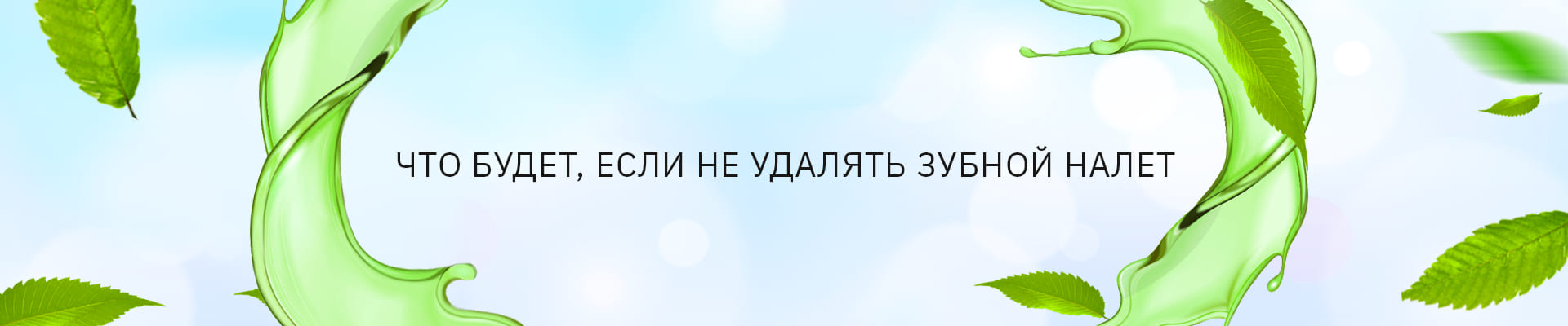 banner-2